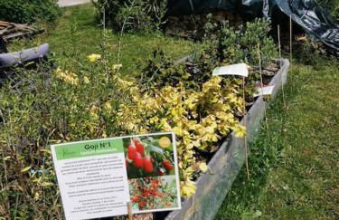 La grange de Pierrot - Foto 32