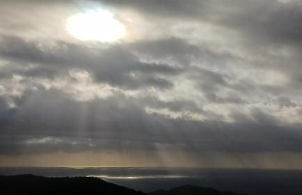 Parc du Montnegre avec magnifique vue mer - Foto 5
