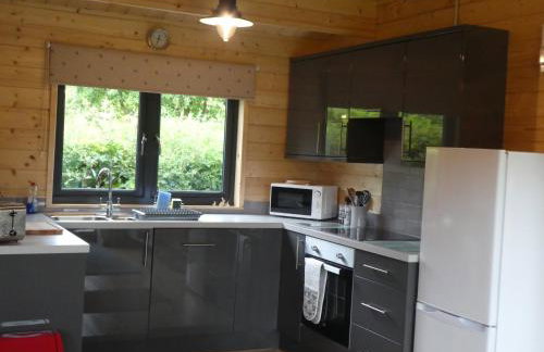 Pound Farm Holidays - Orchard Lodge - Photo 9