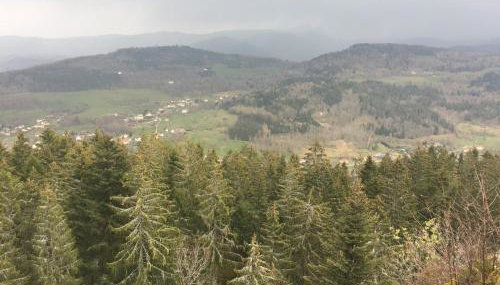Villa 1950 piscine et spa- Gérardmer - terrain entièrement clos pour animaux - Foto 4