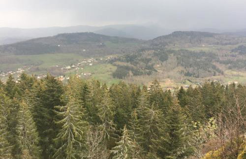 Villa 1950 piscine et spa- Gérardmer - terrain entièrement clos pour animaux - Foto 4