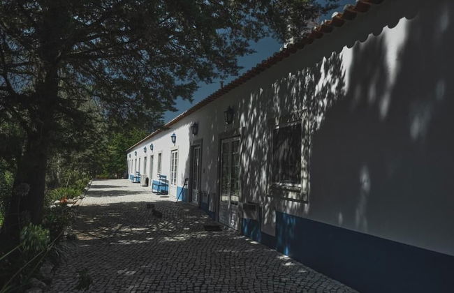 Quinta dos Anjos - Foto 45