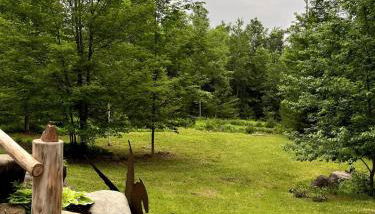 Shiraz House - Foto 5, Garden view