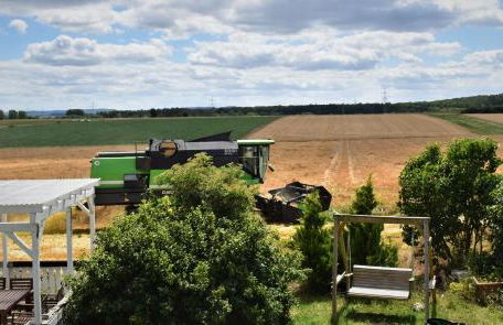 Ferienwohnung Jannack für 5 Personen in Bad Münder - Foto 15