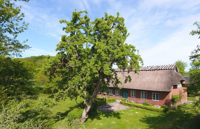 Reading Roof Cate Fuchsgraben - Foto 32