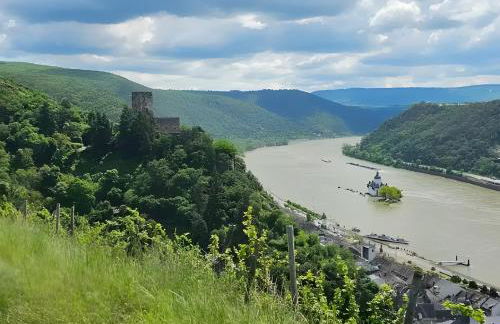 Bacchus Holiday Homes - Foto 60