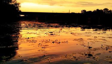 Gîte Les Galins - Foto 2