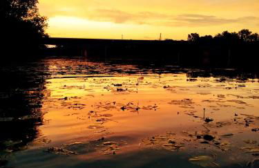 Gîte Les Galins - Foto 2