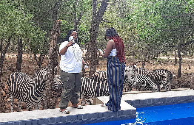 African Sky Villas - Photo 77