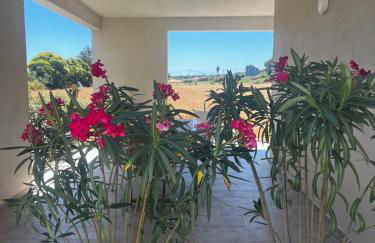 Résidence Petra Paolina - Foto 43