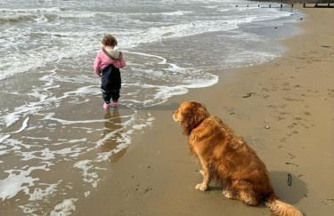 Trafalgar, lovely ground floor flat with outside patio garden, minutes walk to seafront - Photo 27