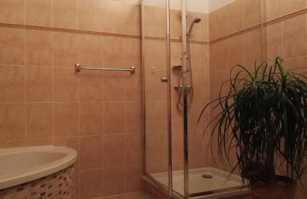 Feriendomizil Roger Wohnung 2 - Foto 4