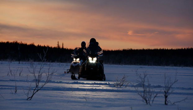 Levi's Ultimate 15km Husky Self-Driving Journey - Foto 5