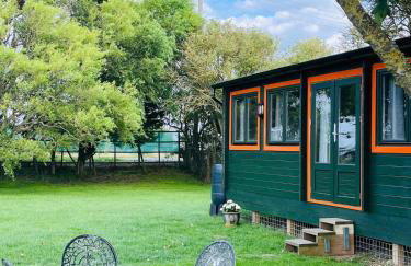 Walland Cottage Romney Retreat - Photo 20