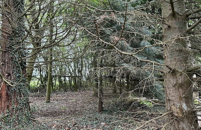 Woodlands Basic Bell Tent 2 - Foto 16