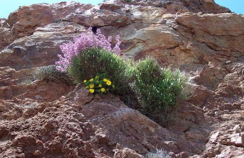 Vientos y Mares - Foto 52