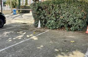 Première ligne - Vue mer exceptionnelle - Accès direct plage - Grand balcon - Parking privatif clos - Tout à pieds - Foto 23