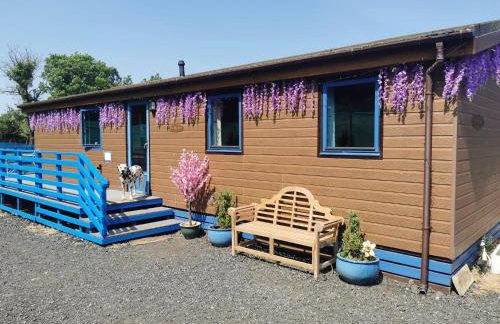 Glen Roe - 3 Bed Lodge on Friendly Farm Stay - Foto 1