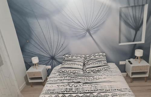 la violette - Foto 4