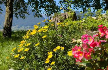 Al Veciarin - Photo 23