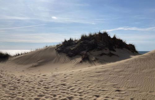 Nordpalais vor Sylt - Foto 51