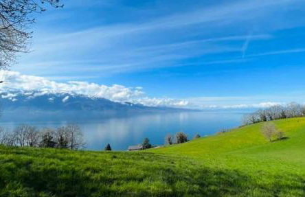 Au Doubs Moment vue exceptionnelle et panoramique - Foto 16