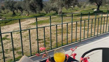 Quinta da Mouracha - Foto 3