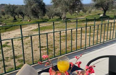 Quinta da Mouracha - Foto 3