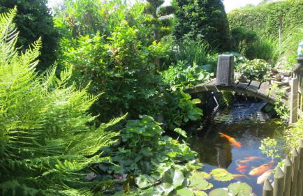 Ferienwohnung Boller I für 5 Personen - Foto 23