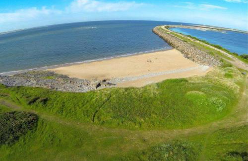 Herdwicks - Foto 128