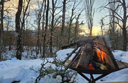 Arnaia Forest Villa - Photo 18