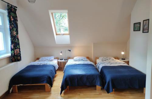 Kraska Dom Wakacyjny w Sercu Puszczy Białowieskiej - Foto 14