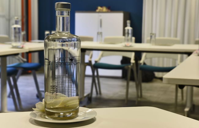 Dina Morgabine - Foto 28