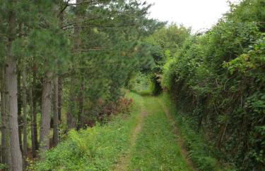 Viviendas Rurales Aldea de Dosamantes - Photo 54