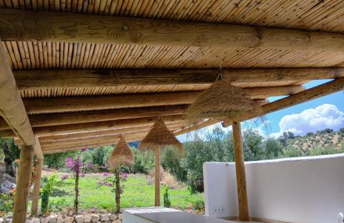 Hacienda Molino Nuevo - Foto 26