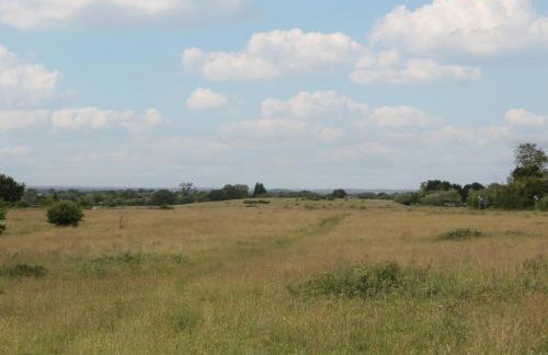 The Turbles - Swallows Nest - Foto 26