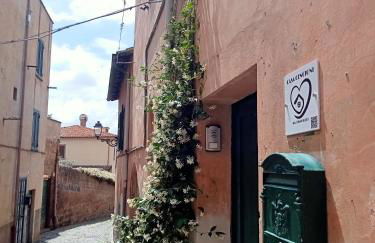 Casa Cencioni - Foto 6