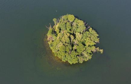 Całoroczny Domek Boho Lubniewice jezioro jacuzzi - Foto 61