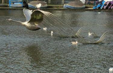 3 Bedroom Holiday Home by beach in Newquay - Foto 52