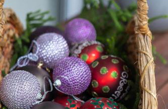 Deus silva - Photo 23