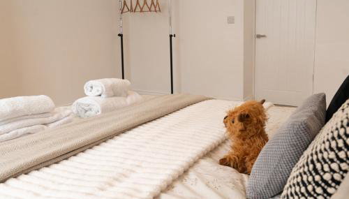 Fox ford 51 - Foto 3