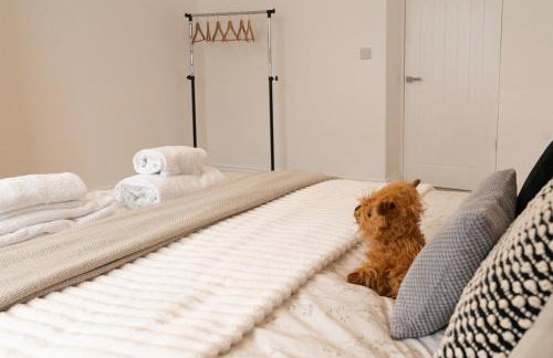 Fox ford 51 - Foto 3