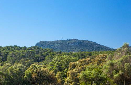 Oliver Moragues Grandhouse & Vineyard - Foto 26