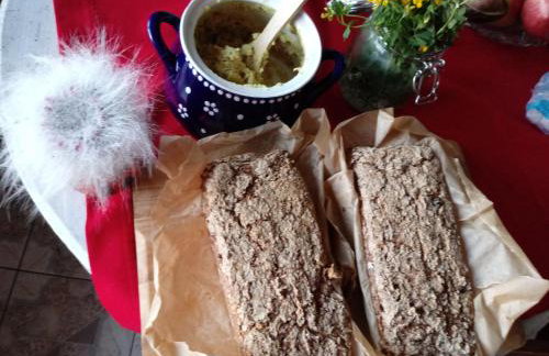 Zakątek Szczęścia Eko Agroturystyka - Foto 37