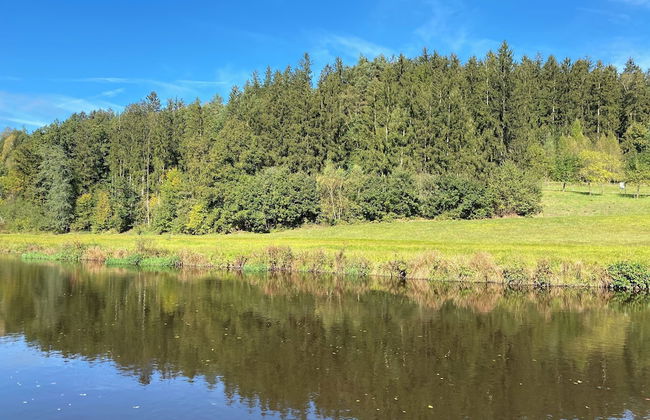 Complete Apartment With own Balcony - Photo 10