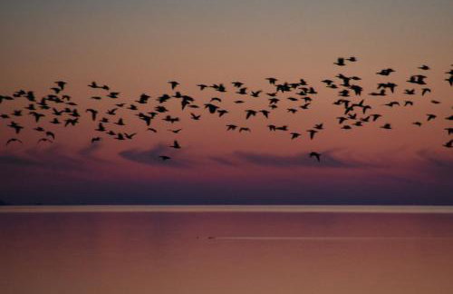 Friesenblau im Haus Schladenhaufen - Foto 16