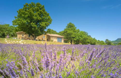 Domaine de L'Essentiel de Lavande - Foto 13