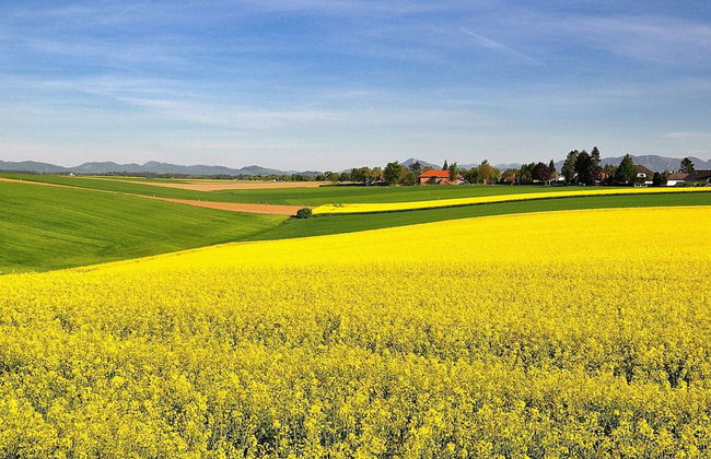 2 Person Holiday Home in Brosarp - Foto 64