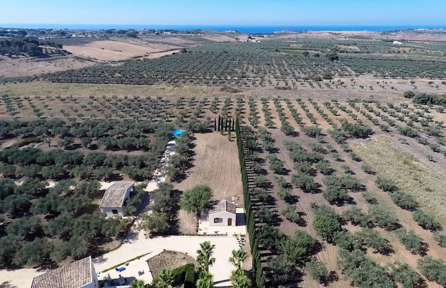 Agrisicilia - Foto 45