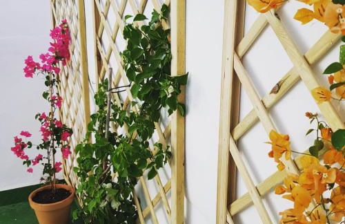 Niebla Centro Apartamentos - Foto 32